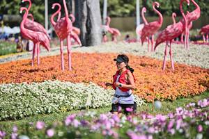 BIB: 
                            <button type="button" onclick="openModal(27793385)" class="btn btn-primary btn-sm float-right btn-popup" data-toggle="modal" data-target=".modal-high-quality">
                        <i class="fas fa-shopping-cart"></i> Add to Cart
                    </button>
                                            <button type="button" onclick="isThisMe(27793385, true)" class="btn btn-success btn-sm float-right btn-popup btn-isme hidden" data-toggle="tooltip" data-placement="bottom" title="นี่คือรูปของคุณใช่ไหม คลิกที่นี่เพื่อเอาเข้าอัลบั้ม">
                        <i class="fas fa-plus"></i> Add to album
                    </button>
                    <button type="button" onclick="isThisMe(27793385, false)" class="btn btn-warning btn-sm float-right btn-popup btn-isnotme hidden">
                        <i class="fas fa-ban"></i> Remove from album
                    </button>